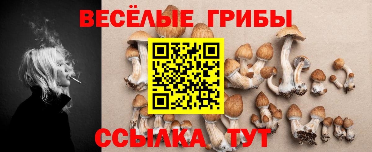 Спасск-Дальний  Псилоцибиновые грибы мухоморы  где продают наркотики  Вход с VPN 
